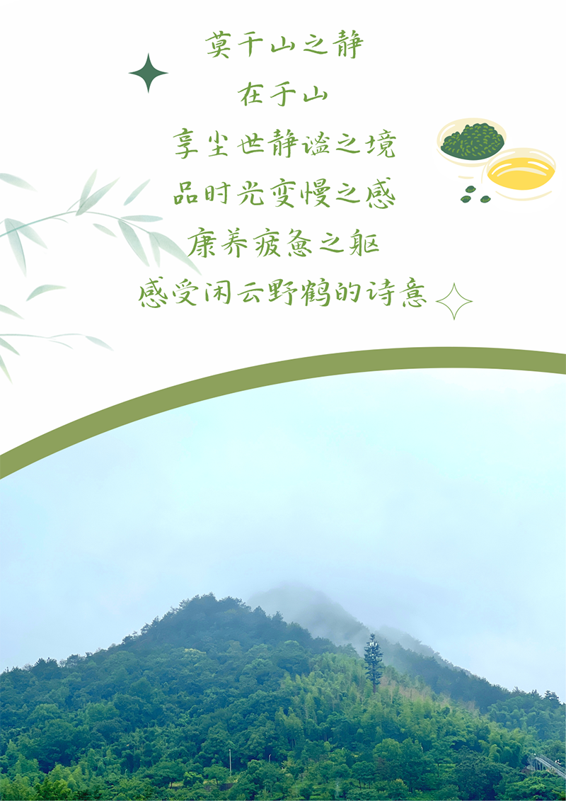 心心念廿 相伴U8国际 | 与德清相约 贺廿载诞辰